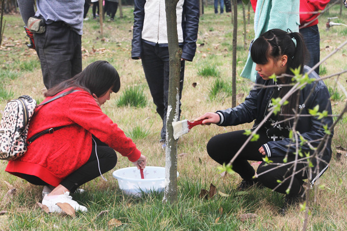 植樹節(jié):讓愛與綠色傳遞