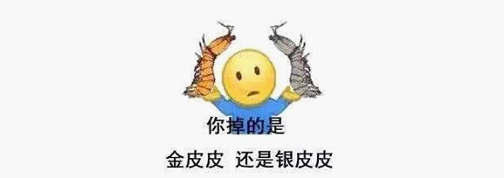 最近刷屏的“皮皮蝦”你知道是什么梗嗎？來，走起