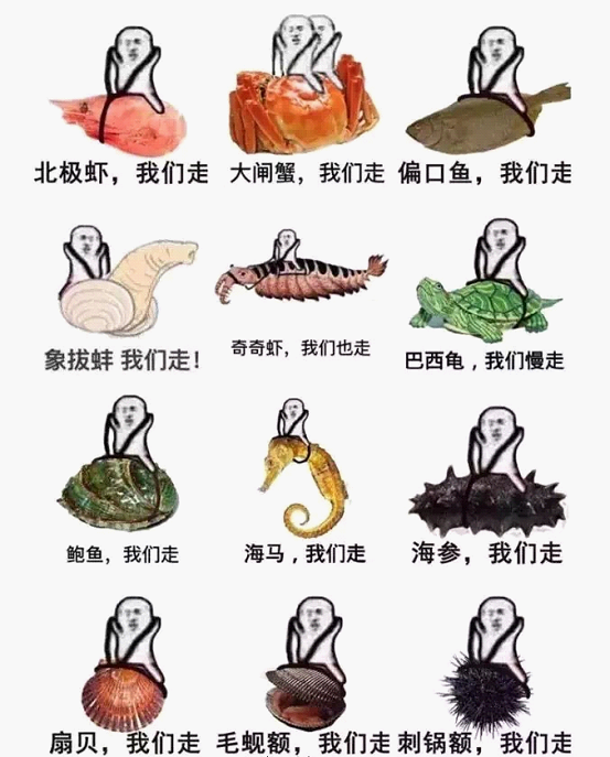 最近刷屏的“皮皮蝦”你知道是什么梗嗎？來，走起
