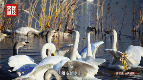 喜迎十九大，國力強(qiáng)盛人民歡慶